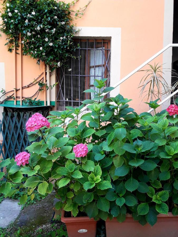 Il Campanile II Locazione Turistica Hotel Pisa Kültér fotó